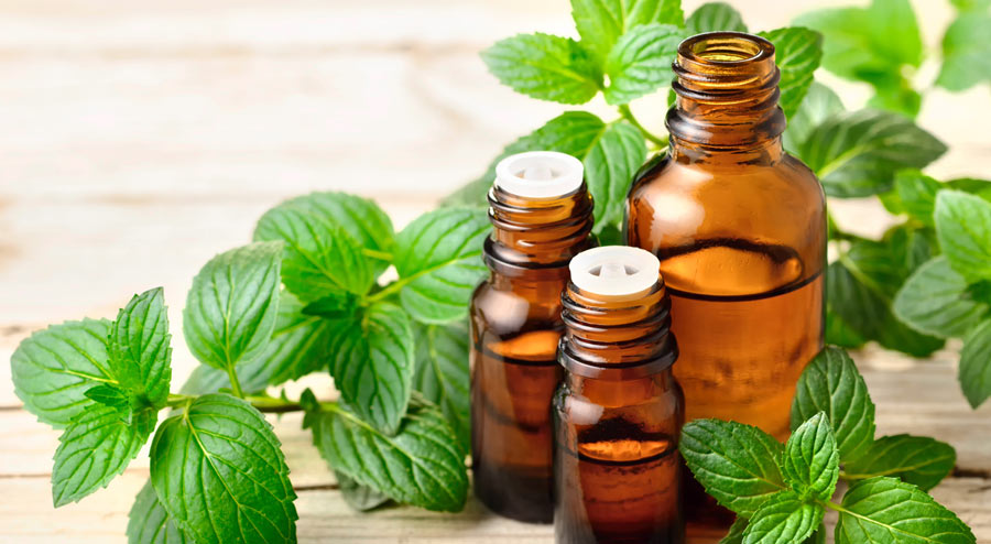 Essential Oils And Cough: Are They Really Effective